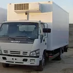 Доставка грузов на рефрижераторах 5, 10, 20 тонн (+25/-25гр.)