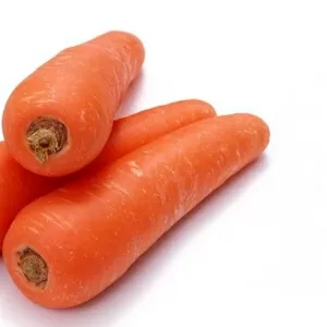 морковь,  лук оптом !!!!!!!!